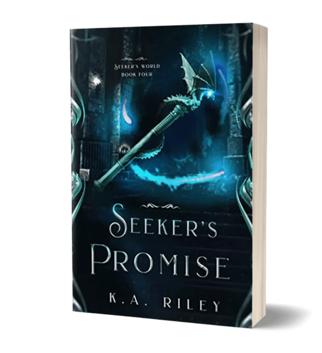 tss-seekers-promise